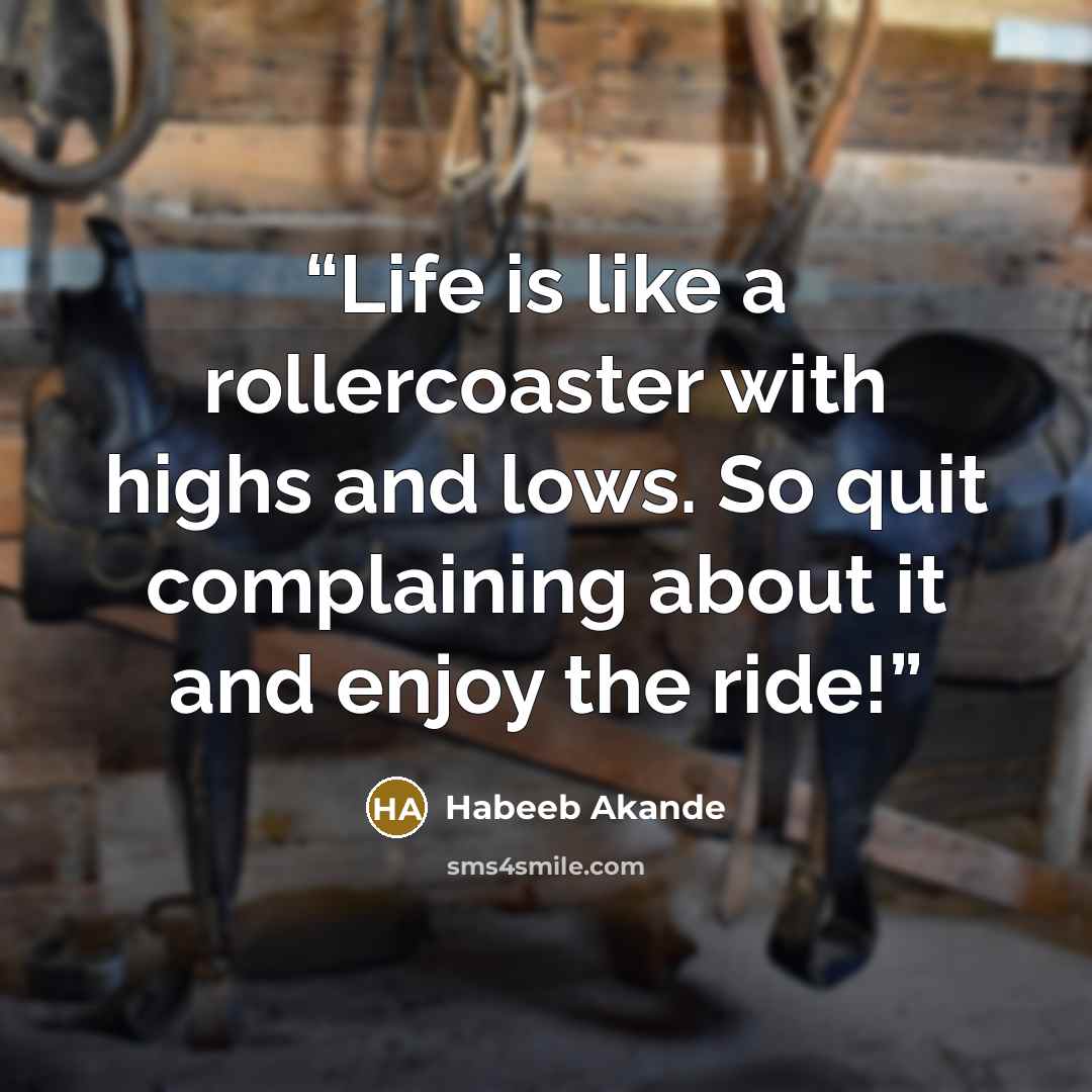 “Life is like a rollercoaster with highs and lows. So quit complaining about it and enjoy the ride!” quote by Habeeb Akande