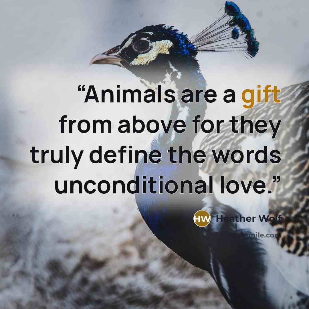 “Animals are a gift from above for they truly define the words unconditional love.” quote by Heather Wolf