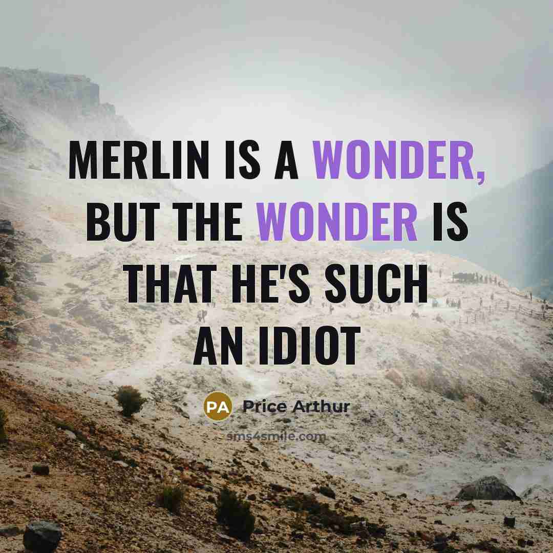 “Merlin is a wonder, but the wonder is that he's such an idiot” quote by Price Arthur