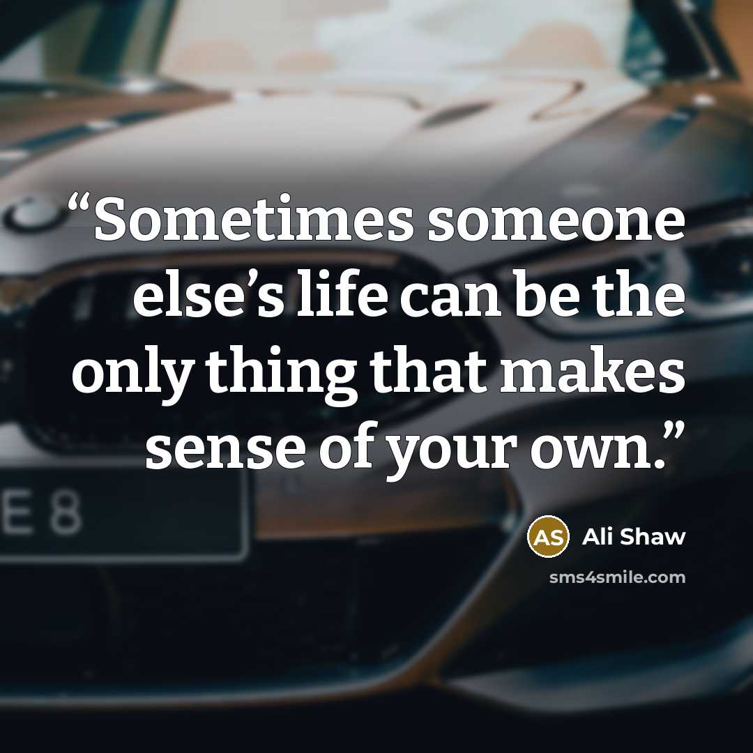 “Sometimes someone else’s life can be the only thing that makes sense of your own.” quote by Ali Shaw