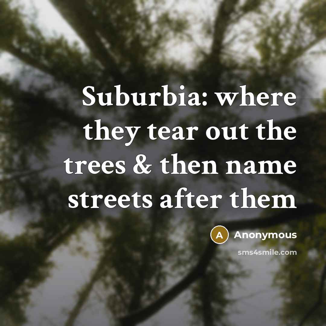 “Suburbia: where they tear out the trees & then name streets after them” quote by Anonymous