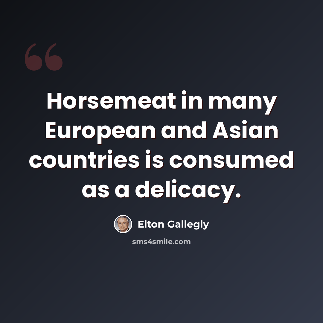 “Horsemeat in many European and Asian countries is consumed as a delicacy.” quote by Elton Gallegly