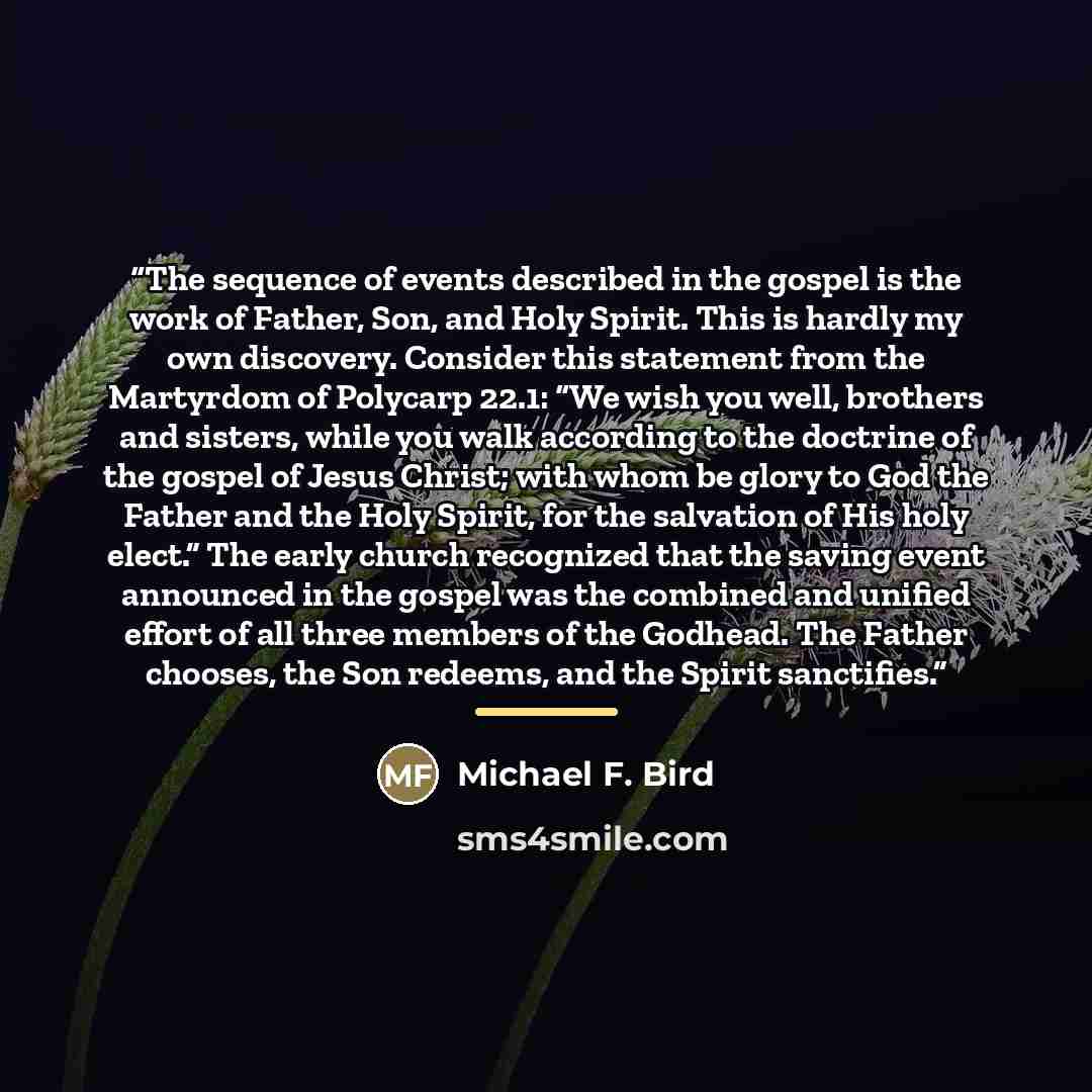 “The sequence of events described in the gospel is the work of Father, Son, and Holy Spirit. This is hardly my own discovery. Consider this statement from the Martyrdom of Polycarp 22.1: “We wish you well, brothers and sisters, while you walk according to the doctrine of the gospel of Jesus Christ…” quote by Michael F. Bird