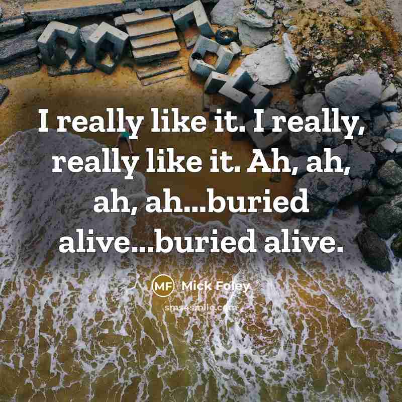 “I really like it. I really, really like it. Ah, ah, ah, ah...buried alive...buried alive.” quote by Mick Foley