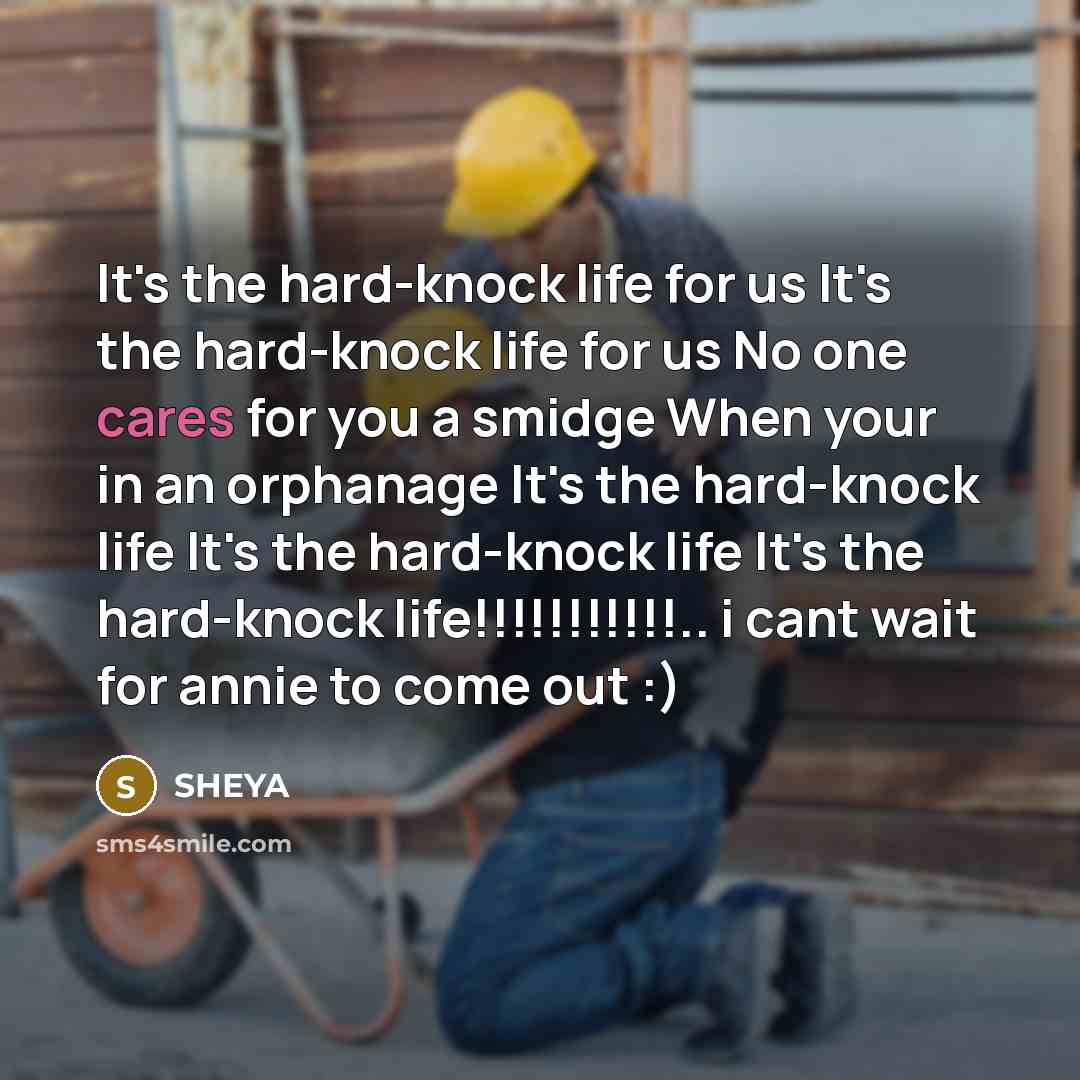 “It's the hard-knock life for us It's the hard-knock life for us No one cares for you a smidge When your in an orphanage It's the hard-knock life It's the hard-knock life It's the hard-knock life!!!!!!!!!!!.. i cant wait for annie to come out :)” quote by SHEYA