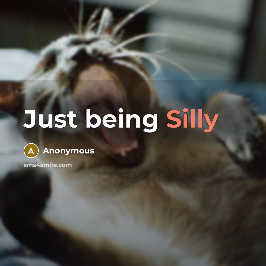 “Just being Silly” quote by Anonymous