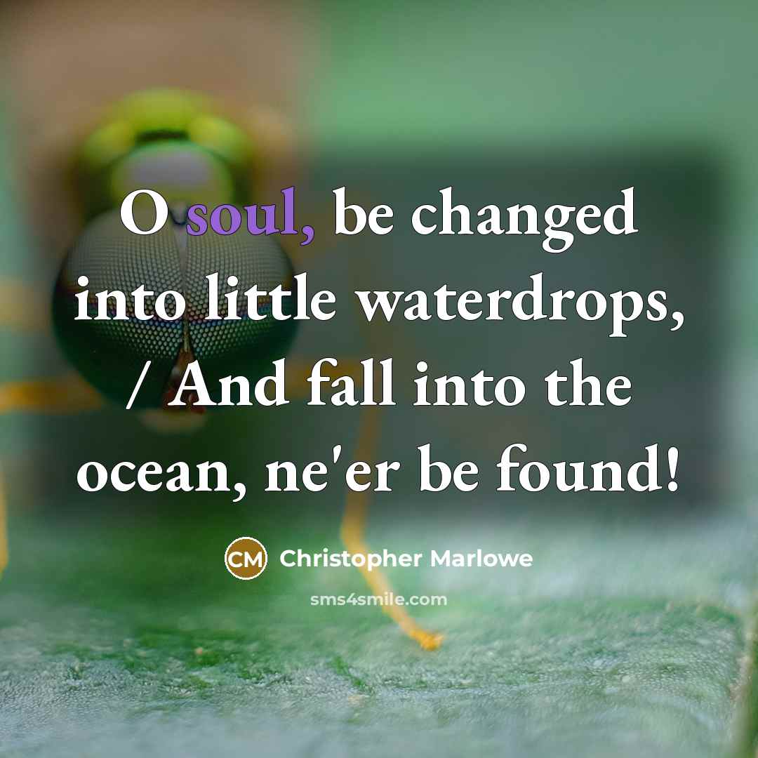 “O soul, be changed into little waterdrops, / And fall into the ocean, ne'er be found!” quote by Christopher Marlowe
