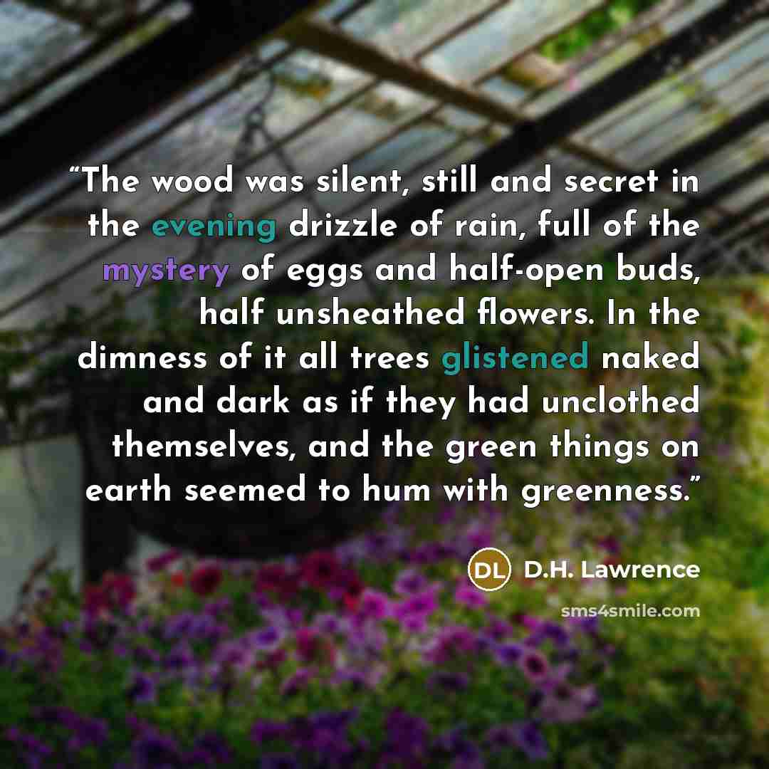 “The wood was silent, still and secret in the evening drizzle of rain, full of the mystery of eggs and half-open buds, half unsheathed flowers. In the dimness of it all trees glistened naked and dark as if they had unclothed themselves, and the green things on earth seemed to hum with greenness.” quote by D.H. Lawrence