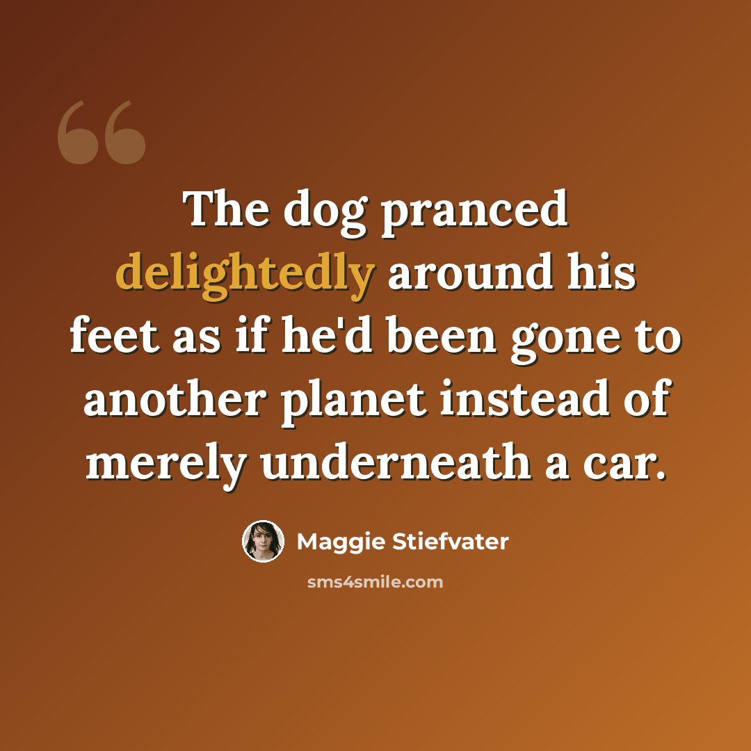 “The dog pranced delightedly around his feet as if he'd been gone to another planet instead of merely underneath a car.” quote by Maggie Stiefvater