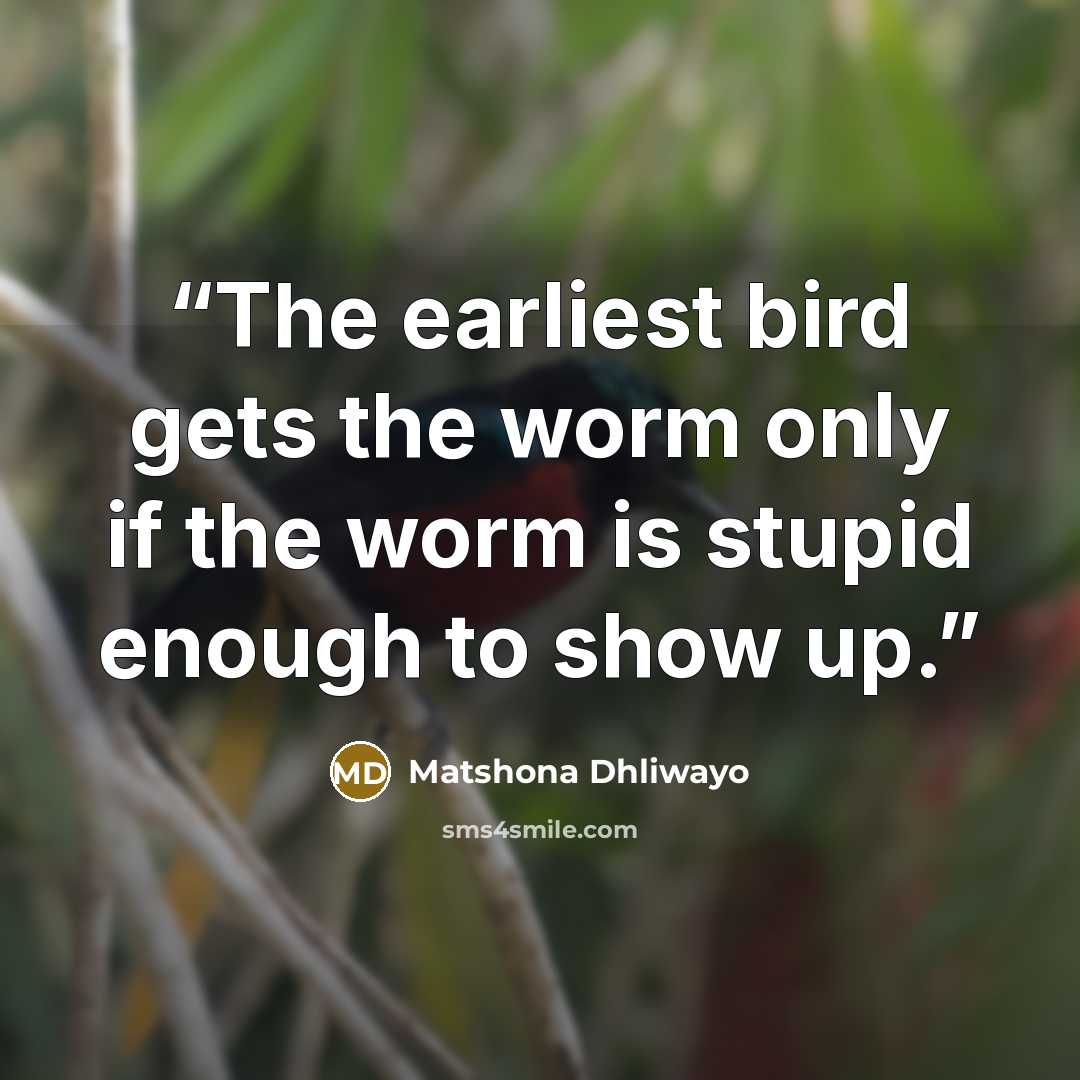 “The earliest bird gets the worm only if the worm is stupid enough to show up.” quote by Matshona Dhliwayo