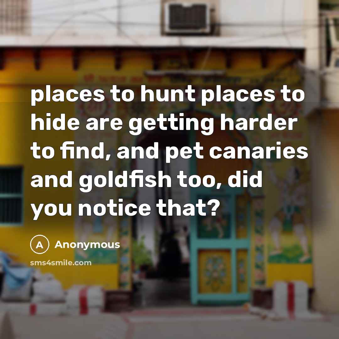 “places to hunt places to hide are getting harder to find, and pet canaries and goldfish too, did you notice that?” quote by Anonymous
