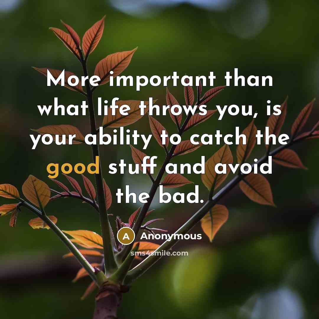 “More important than what life throws you, is your ability to catch the good stuff and avoid the bad.” quote by Anonymous
