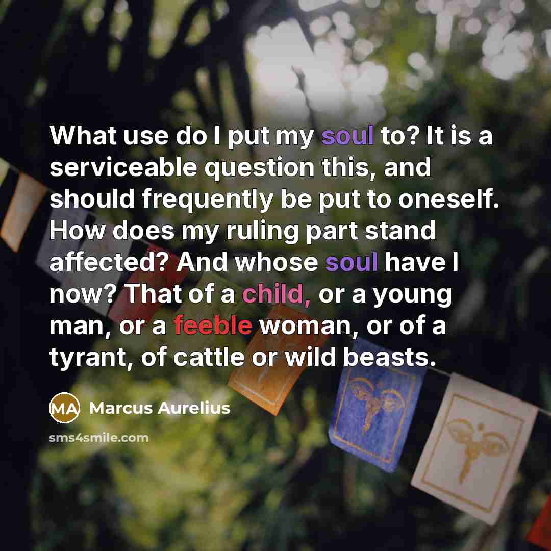 “What use do I put my soul to? It is a serviceable question this, and should frequently be put to oneself. How does my ruling part stand affected? And whose soul have I now? That of a child, or a young man, or a feeble woman, or of a tyrant, of cattle or wild beasts.” quote by Marcus Aurelius