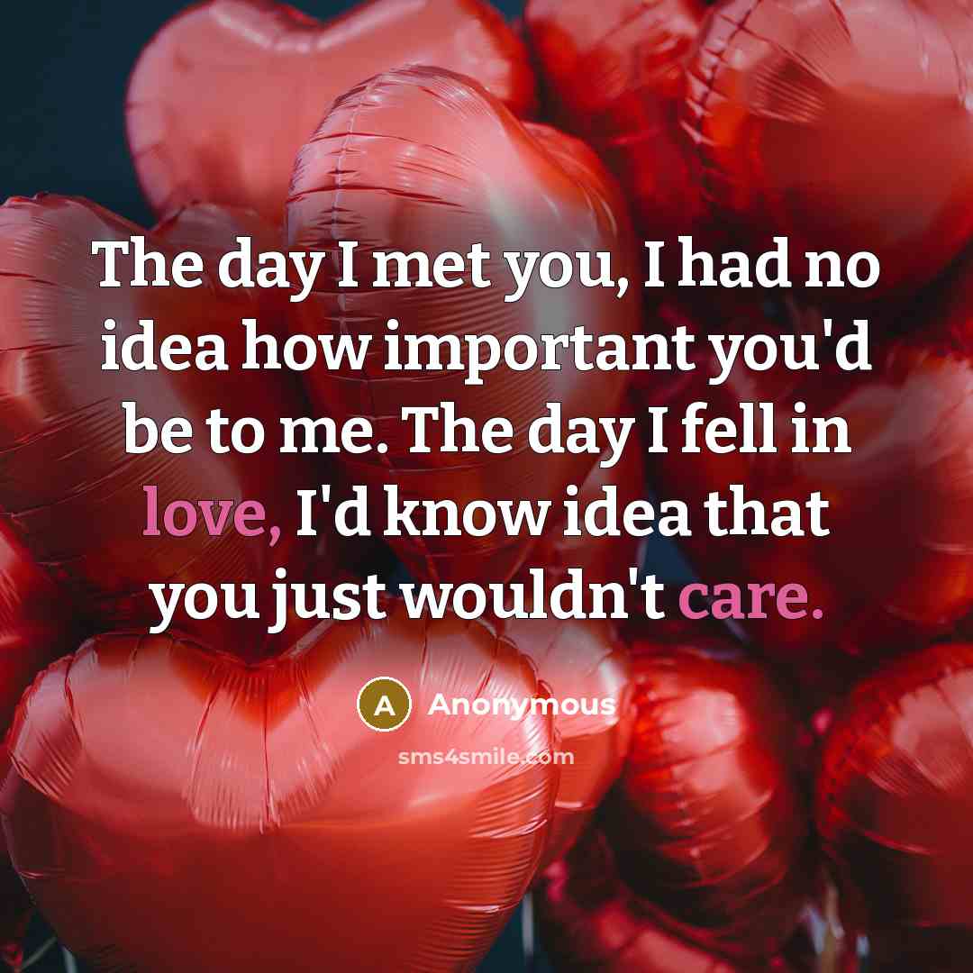 “The day I met you, I had no idea how important you'd be to me. The day I fell in love, I'd know idea that you just wouldn't care.” quote by Anonymous