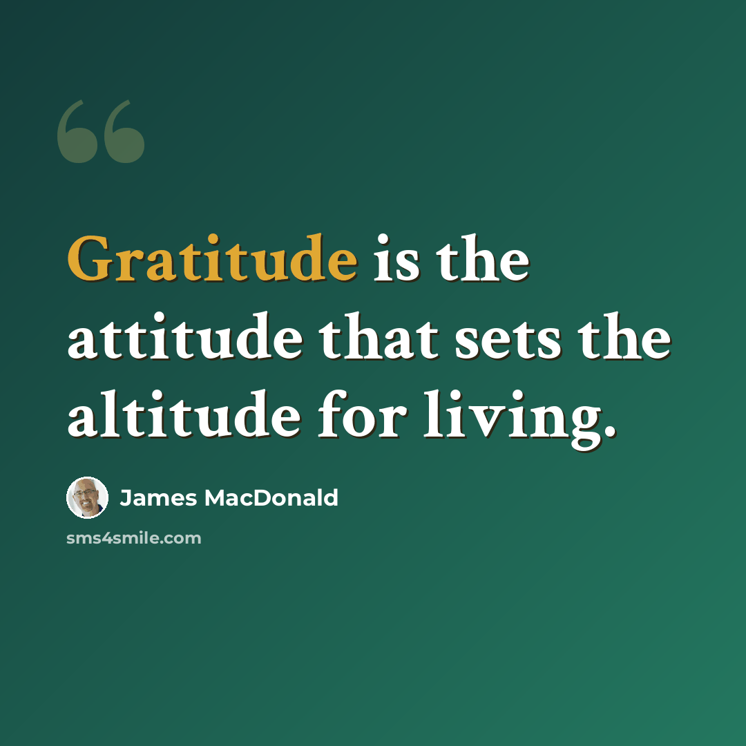 “Gratitude is the attitude that sets the altitude for living.” quote by James MacDonald