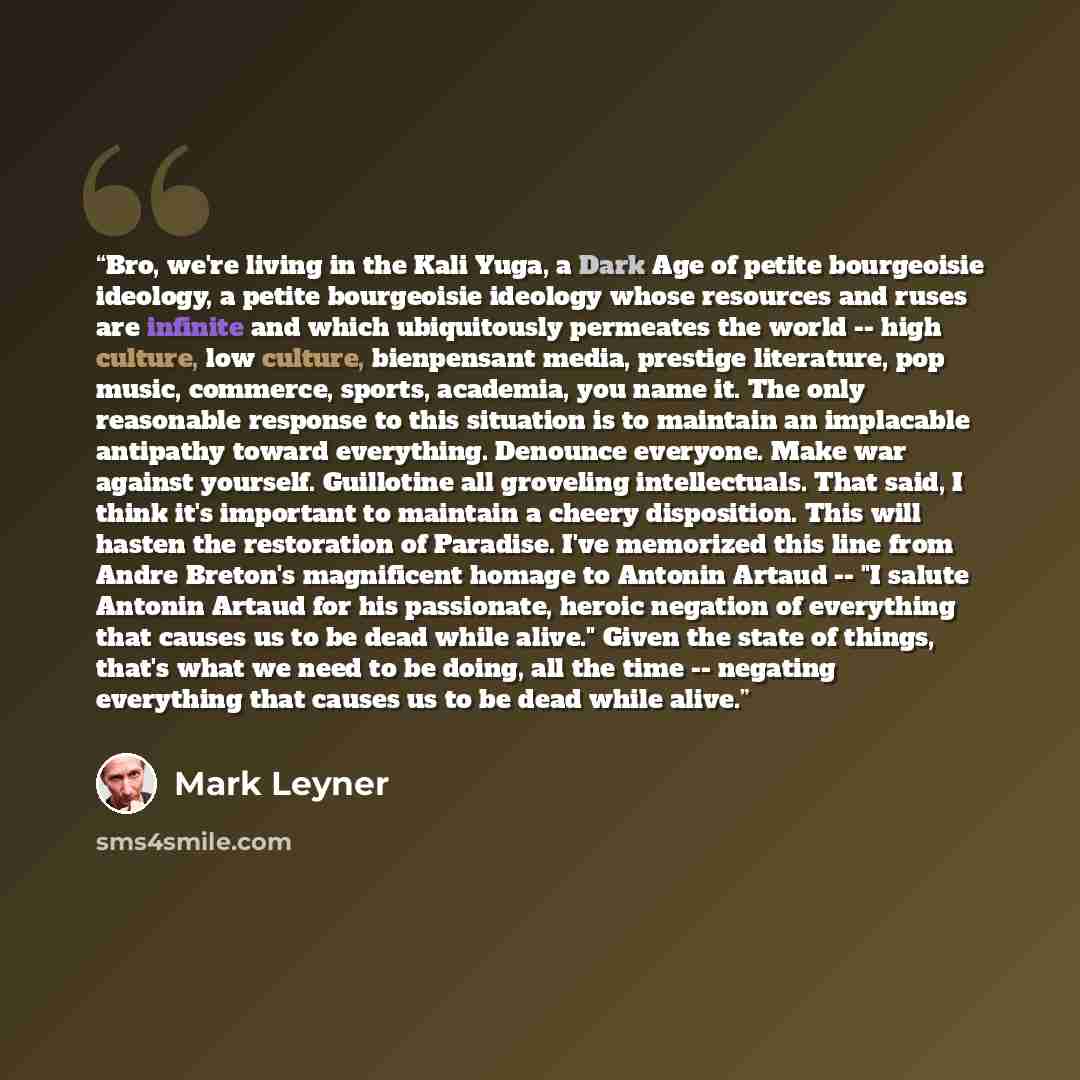 “Bro, we're living in the Kali Yuga, a Dark Age of petite bourgeoisie ideology, a petite bourgeoisie ideology whose resources and ruses are infinite and which ubiquitously permeates the world -- high culture, low culture, bienpensant media, prestige literature, pop music, commerce, sports…” quote by Mark Leyner