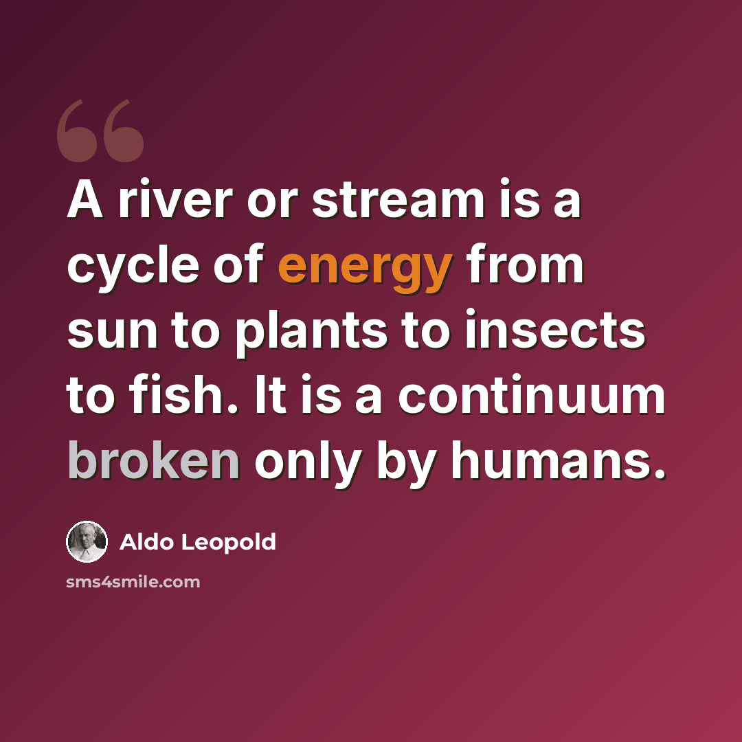“A river or stream is a cycle of energy from sun to plants to insects to fish. It is a continuum broken only by humans.” quote by Aldo Leopold
