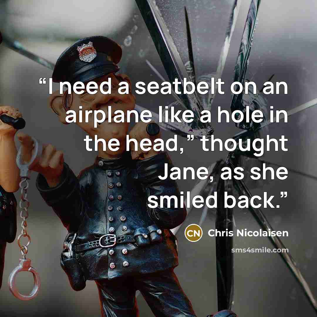 “I need a seatbelt on an airplane like a hole in the head,” thought Jane, as she smiled back.” quote by Chris Nicolaisen