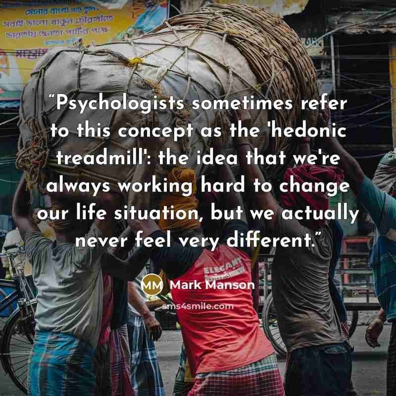 “Psychologists sometimes refer to this concept as the 'hedonic treadmill': the idea that we're always working hard to change our life situation, but we actually never feel very different.” quote by Mark Manson