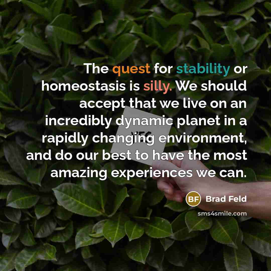 “The quest for stability or homeostasis is silly. We should accept that we live on an incredibly dynamic planet in a rapidly changing environment, and do our best to have the most amazing experiences we can.” quote by Brad Feld