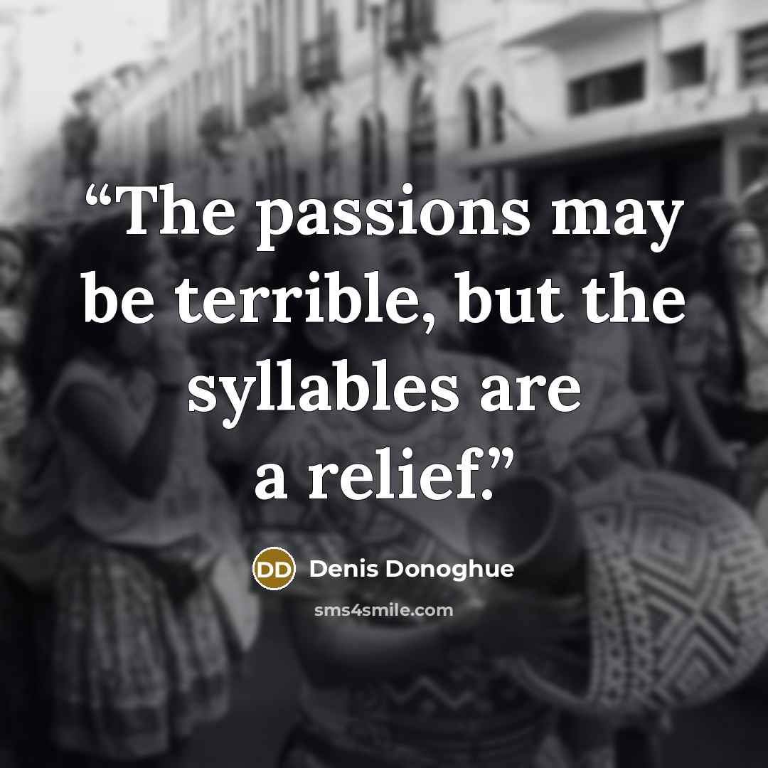 “The passions may be terrible, but the syllables are a relief.” quote by Denis Donoghue