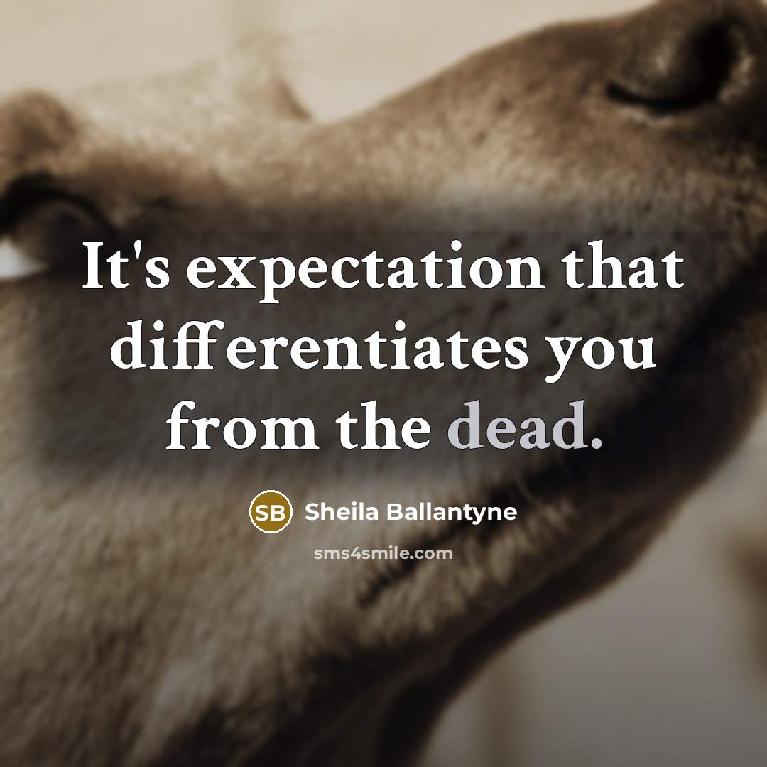 “It's expectation that differentiates you from the dead.” quote by Sheila Ballantyne