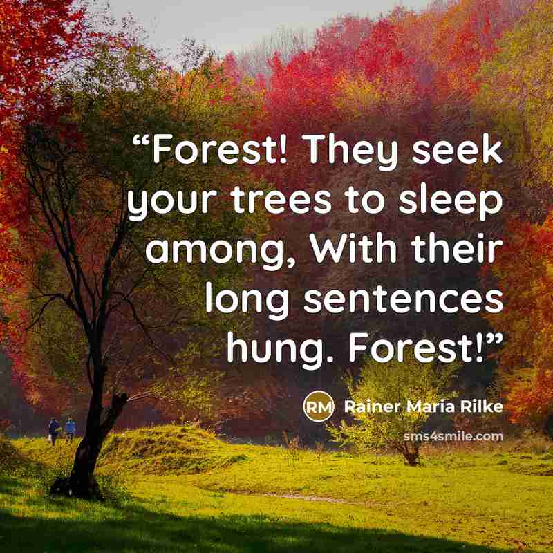 “Forest! They seek your trees to sleep among, With their long sentences hung. Forest!” quote by Rainer Maria Rilke