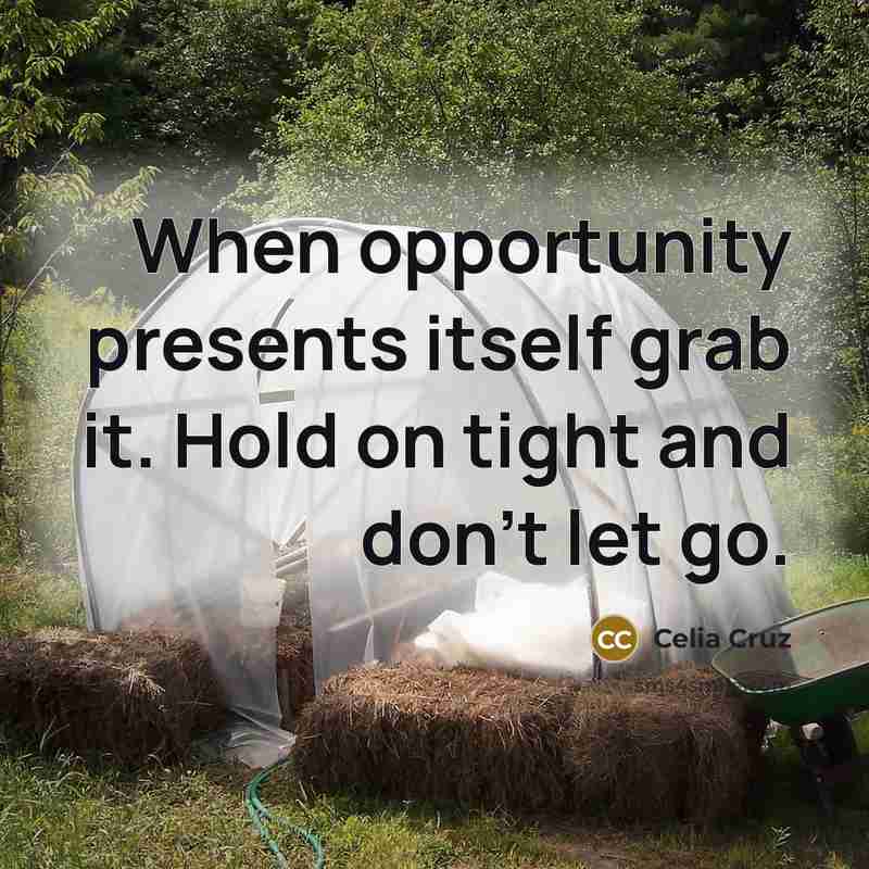 “When opportunity presents itself grab it. Hold on tight and don’t let go.” quote by Celia Cruz