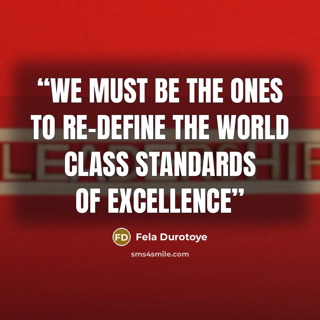 “We must be the ones to re-define the world class standards of excellence” quote by Fela Durotoye