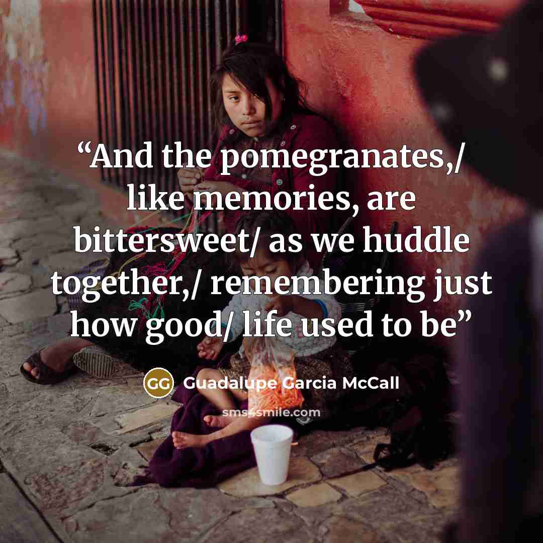 “And the pomegranates,/ like memories, are bittersweet/ as we huddle together,/ remembering just how good/ life used to be” quote by Guadalupe Garcia McCall
