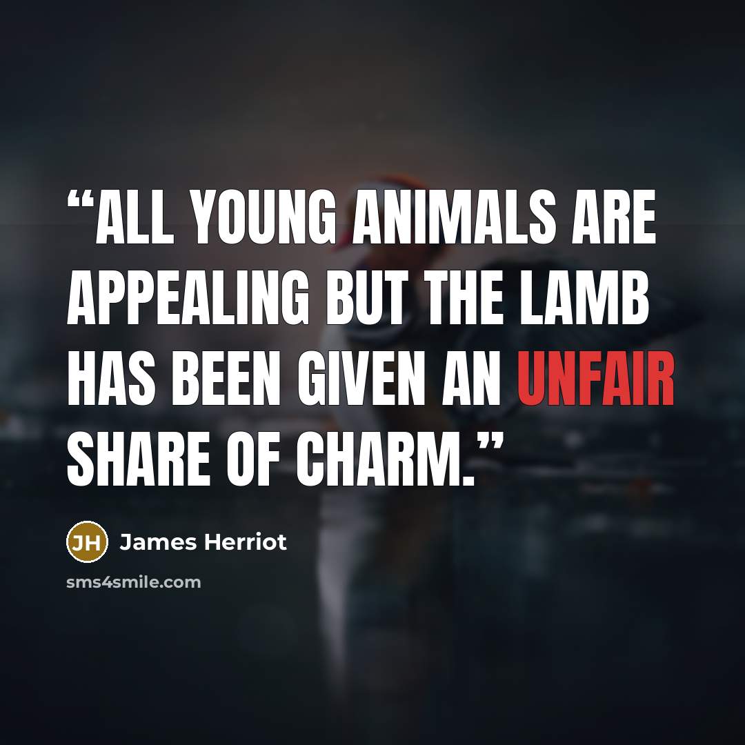 “All young animals are appealing but the lamb has been given an unfair share of charm.” quote by James Herriot