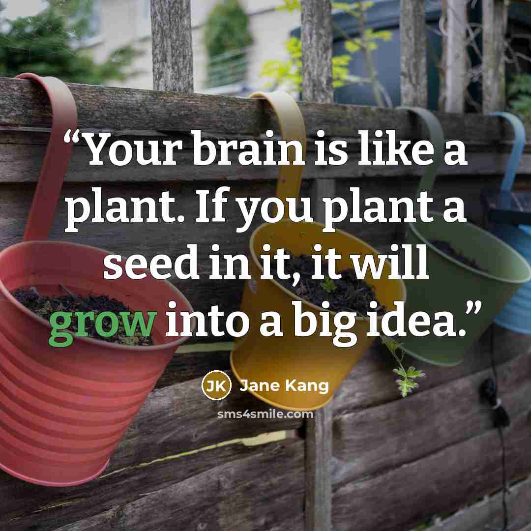 “Your brain is like a plant. If you plant a seed in it, it will grow into a big idea.” quote by Jane Kang