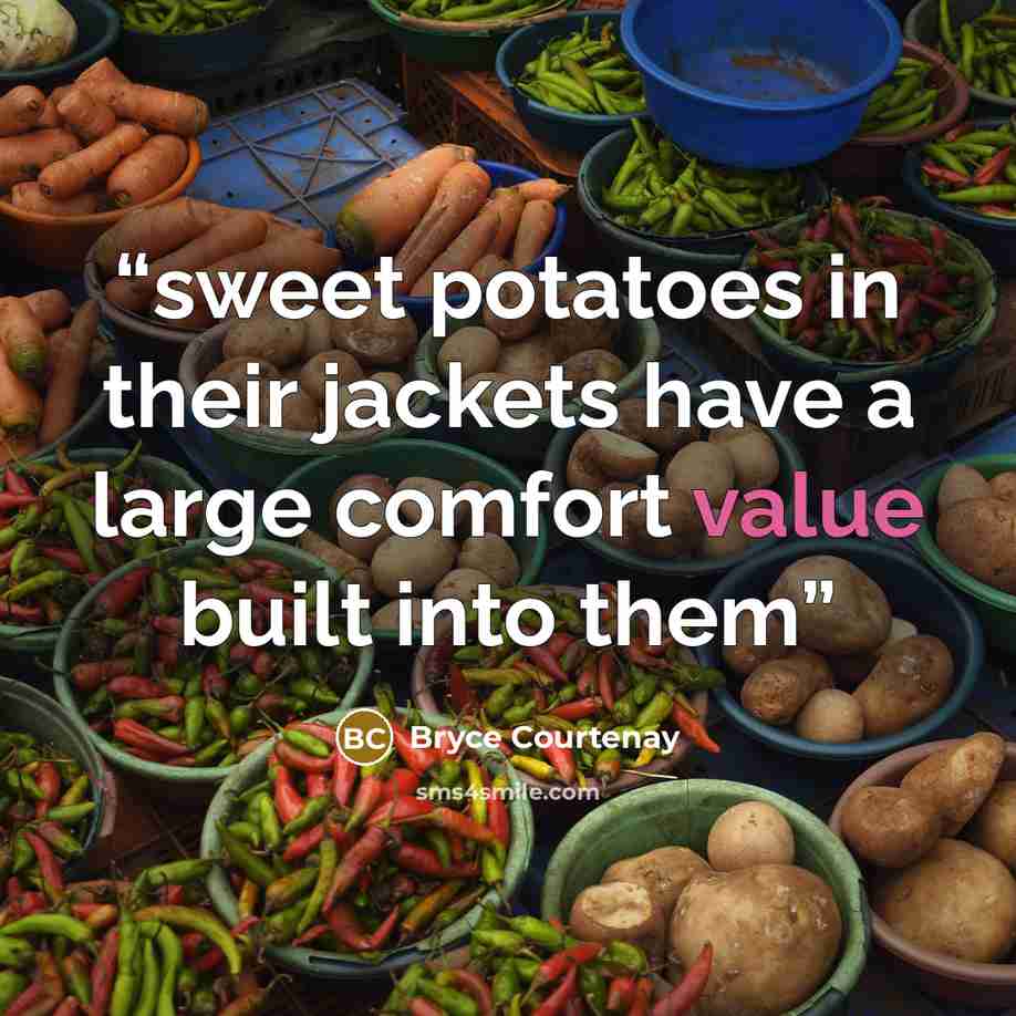 “sweet potatoes in their jackets have a large comfort value built into them” quote by Bryce Courtenay
