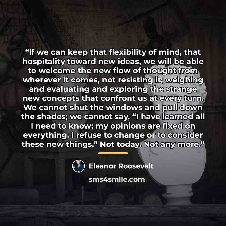 “If we can keep that flexibility of mind, that hospitality toward new ideas, we will be able to welcome the new flow of thought from wherever it comes, not resisting it; weighing and evaluating and exploring the strange new concepts that confront us at every turn. We cannot shut the windows and…” quote by Eleanor Roosevelt