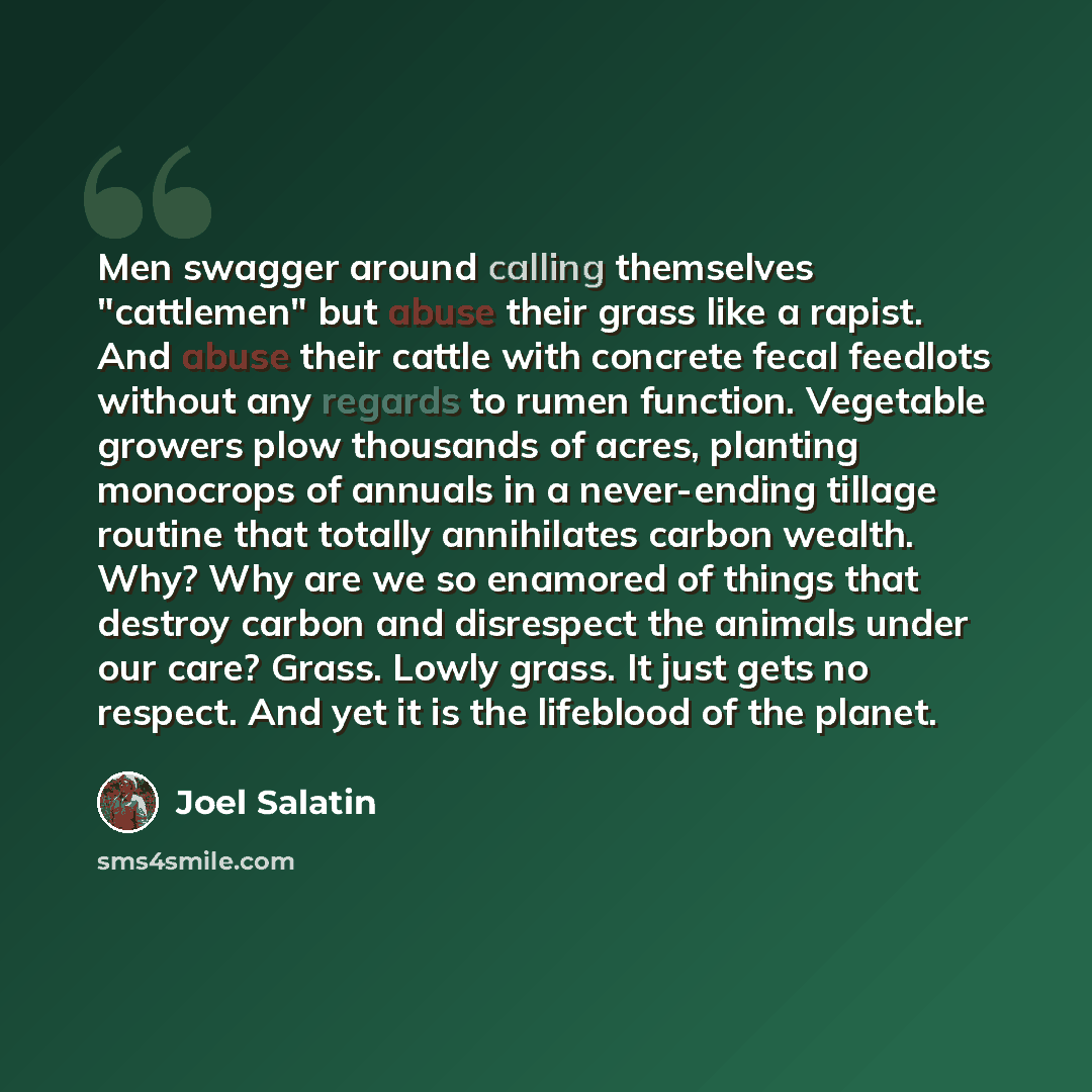 “Men swagger around calling themselves "cattlemen" but abuse their grass like a rapist. And abuse their cattle with concrete fecal feedlots without any regards to rumen function. Vegetable growers plow thousands of acres, planting monocrops of annuals in a never-ending tillage routine that totally…” quote by Joel Salatin