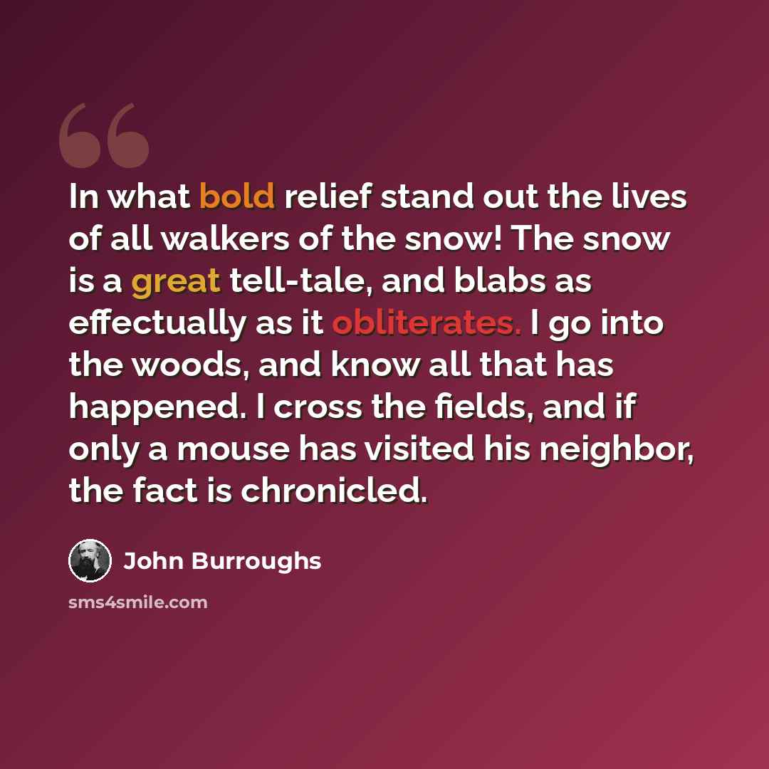 “In what bold relief stand out the lives of all walkers of the snow! The snow is a great tell-tale, and blabs as effectually as it obliterates. I go into the woods, and know all that has happened. I cross the fields, and if only a mouse has visited his neighbor, the fact is chronicled.” quote by John Burroughs