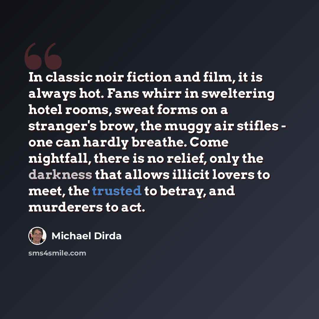 “In classic noir fiction and film, it is always hot. Fans whirr in sweltering hotel rooms, sweat forms on a stranger's brow, the muggy air stifles - one can hardly breathe. Come nightfall, there is no relief, only the darkness that allows illicit lovers to meet, the trusted to betray, and murderers…” quote by Michael Dirda