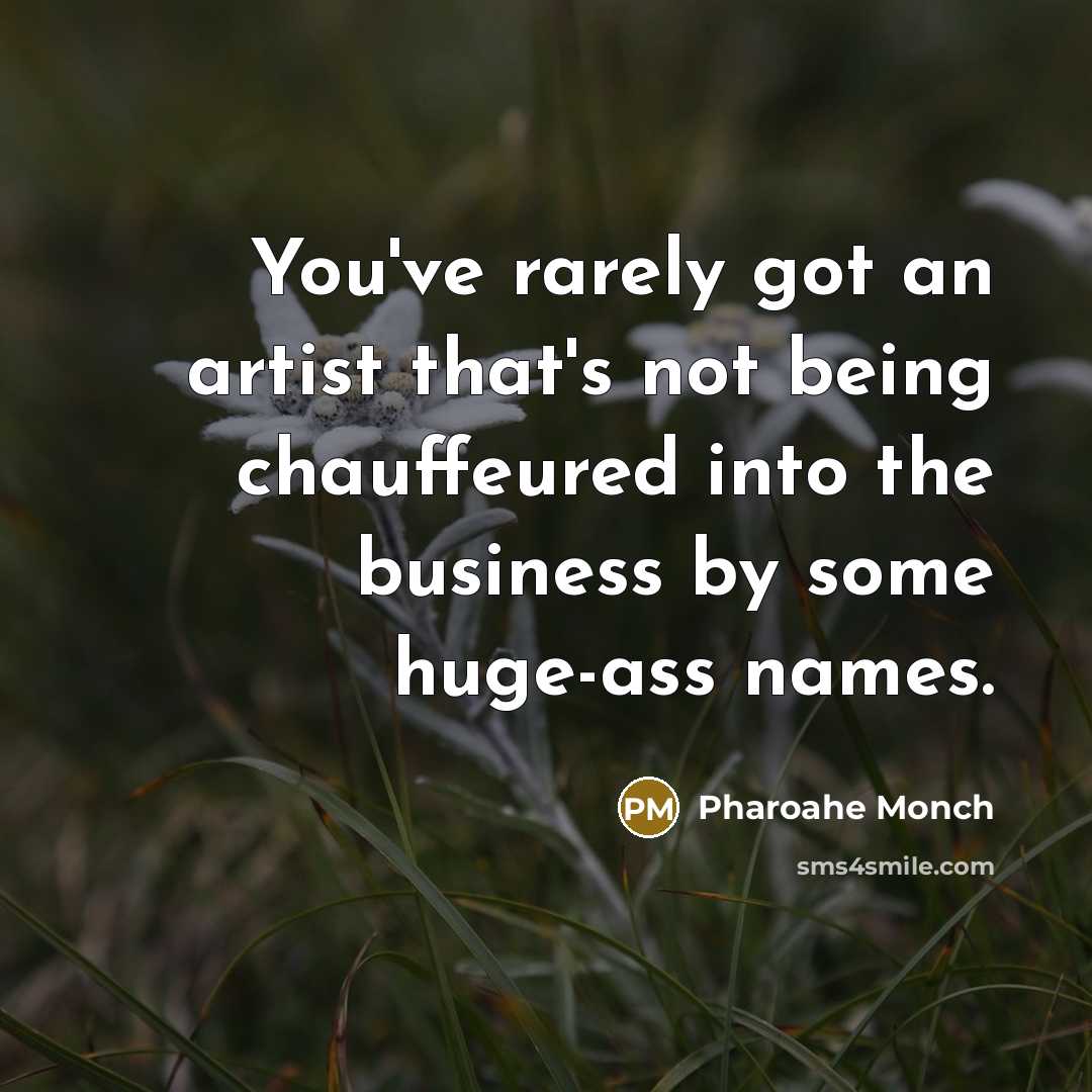 “You've rarely got an artist that's not being chauffeured into the business by some huge-ass names.” quote by Pharoahe Monch