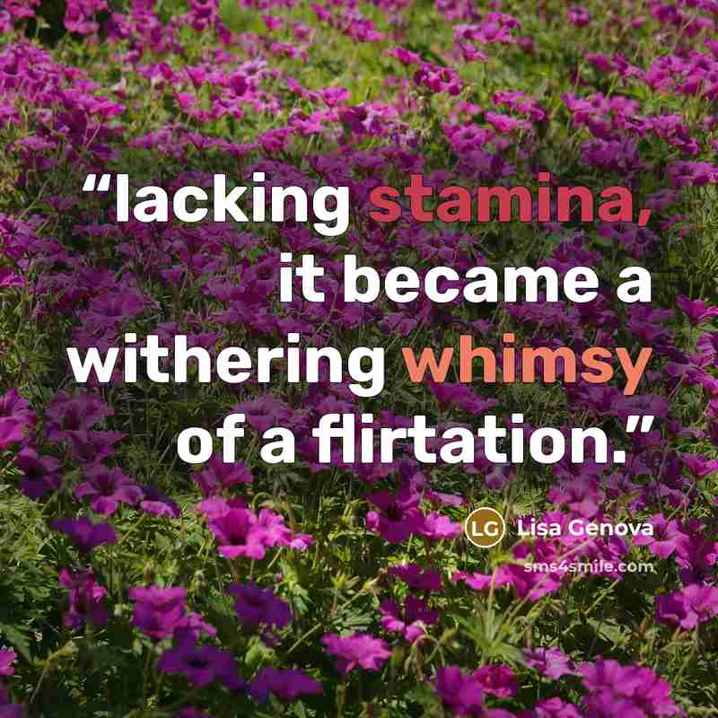 “lacking stamina, it became a withering whimsy of a flirtation.” quote by Lisa Genova
