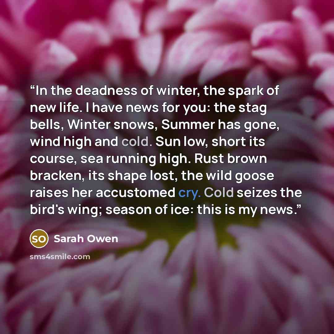“In the deadness of winter, the spark of new life. I have news for you: the stag bells, Winter snows, Summer has gone, wind high and cold. Sun low, short its course, sea running high. Rust brown bracken, its shape lost, the wild goose raises her accustomed cry. Cold seizes the bird's wing; season…” quote by Sarah Owen