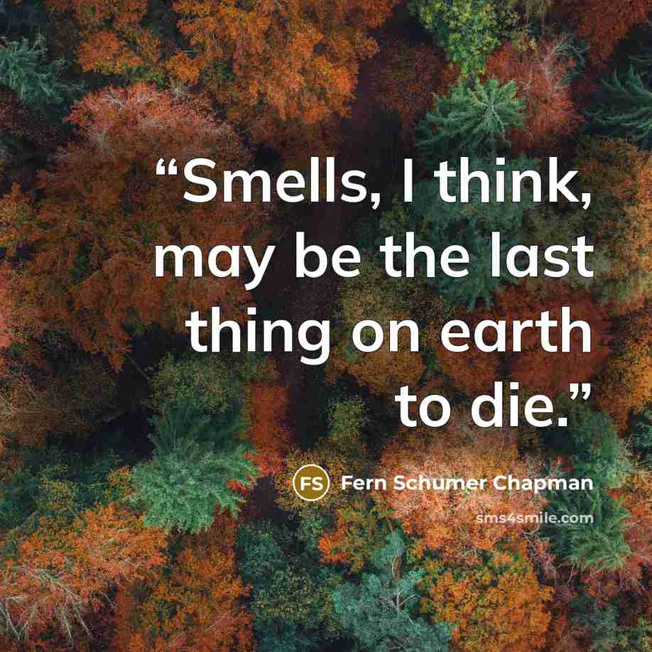 “Smells, I think, may be the last thing on earth to die.” quote by Fern Schumer Chapman