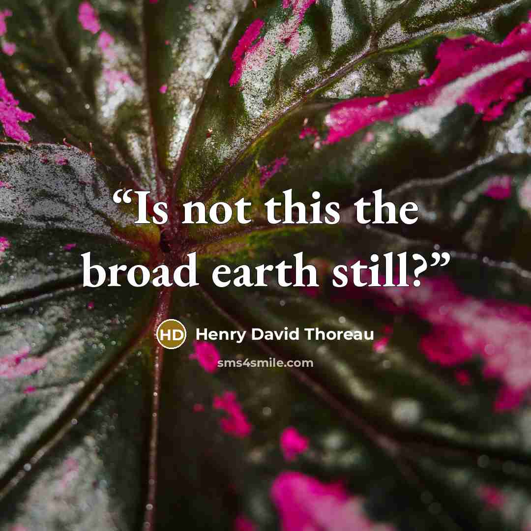 “Is not this the broad earth still?” quote by Henry David Thoreau