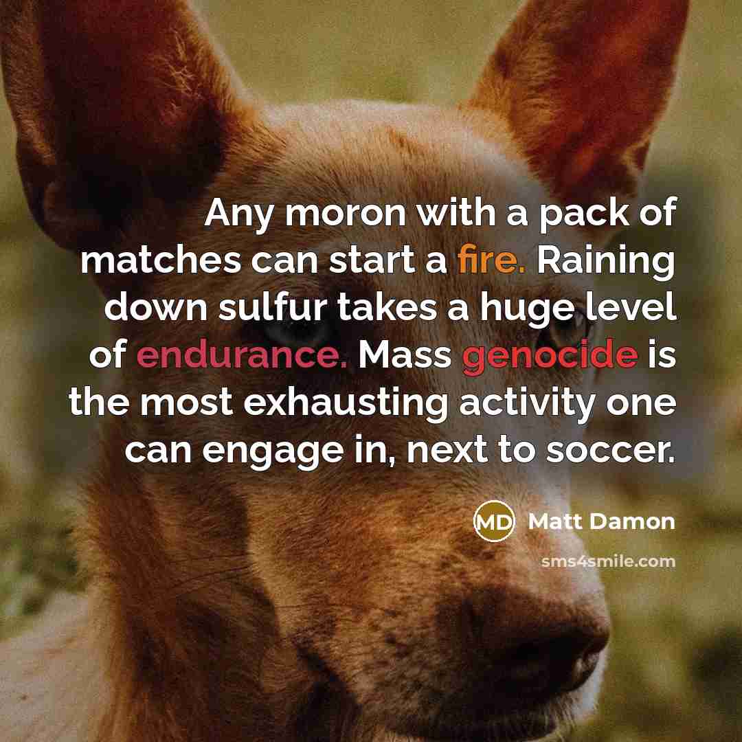 “Any moron with a pack of matches can start a fire. Raining down sulfur takes a huge level of endurance. Mass genocide is the most exhausting activity one can engage in, next to soccer.” quote by Matt Damon