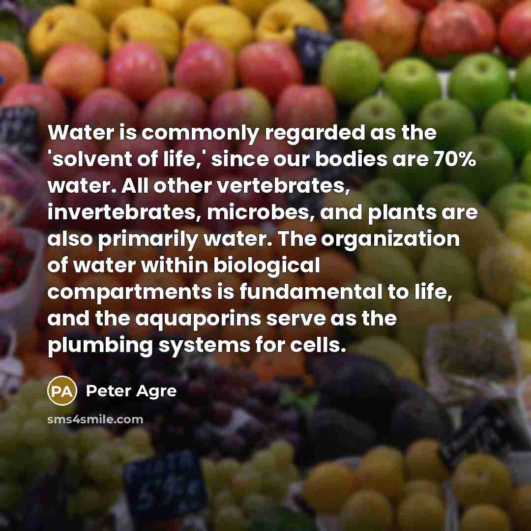 “Water is commonly regarded as the 'solvent of life,' since our bodies are 70% water. All other vertebrates, invertebrates, microbes, and plants are also primarily water. The organization of water within biological compartments is fundamental to life, and the aquaporins serve as the plumbing…” quote by Peter Agre