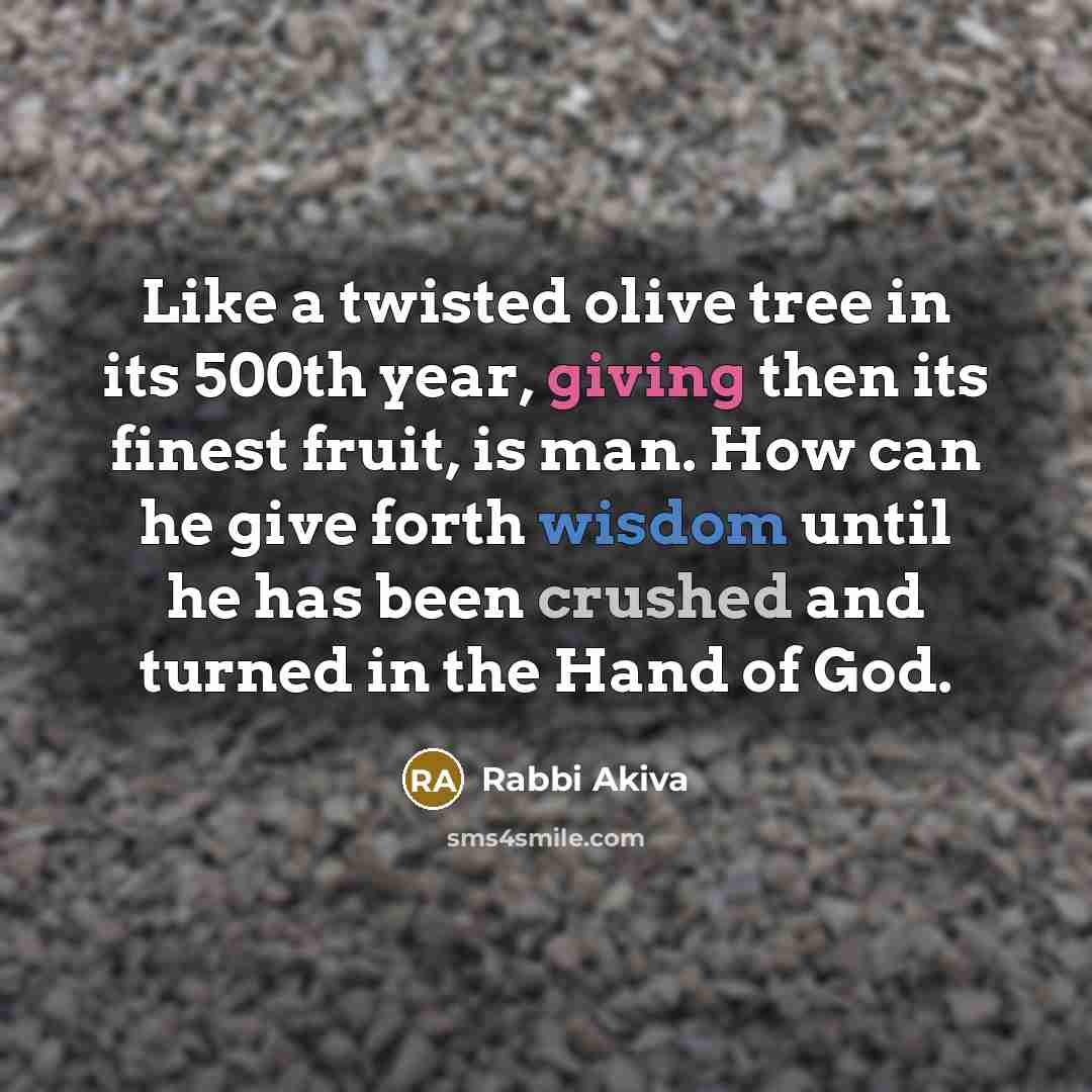 “Like a twisted olive tree in its 500th year, giving then its finest fruit, is man. How can he give forth wisdom until he has been crushed and turned in the Hand of God.” quote by Rabbi Akiva