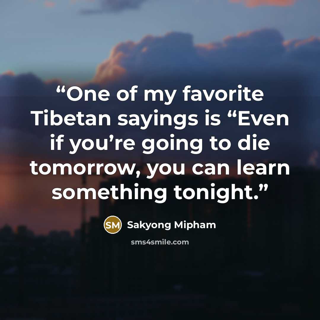 “One of my favorite Tibetan sayings is “Even if you’re going to die tomorrow, you can learn something tonight.” quote by Sakyong Mipham