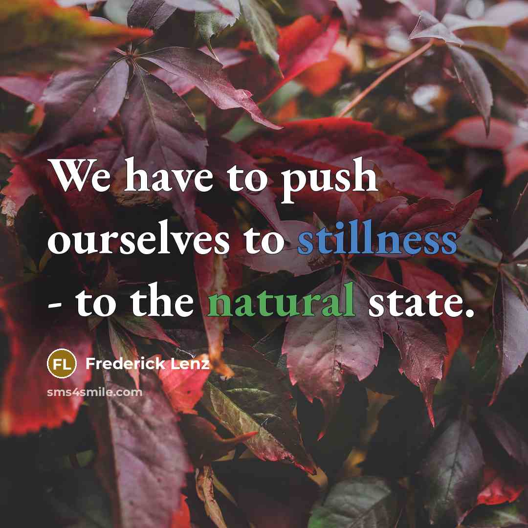 “We have to push ourselves to stillness - to the natural state.” quote by Frederick Lenz