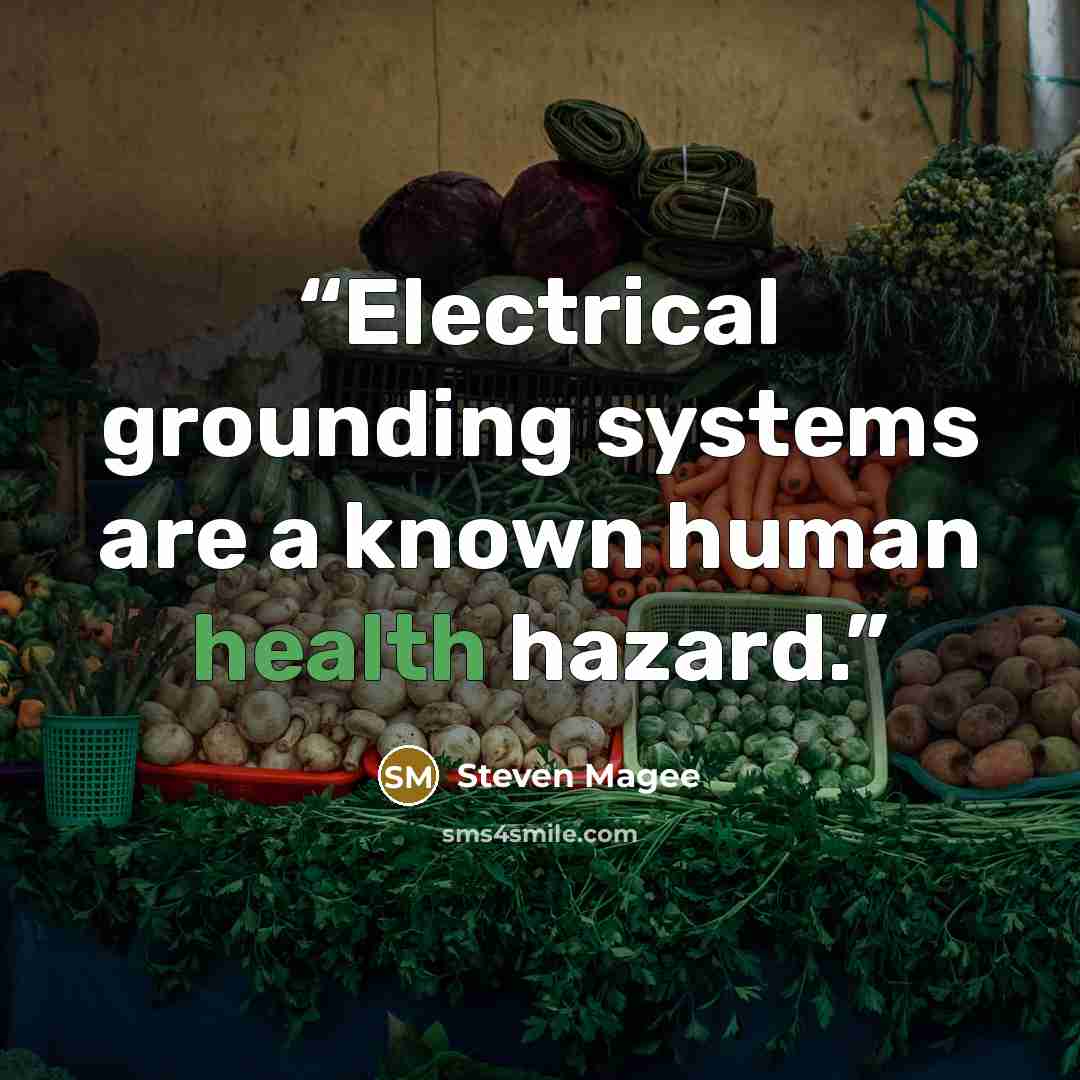 “Electrical grounding systems are a known human health hazard.” quote by Steven Magee