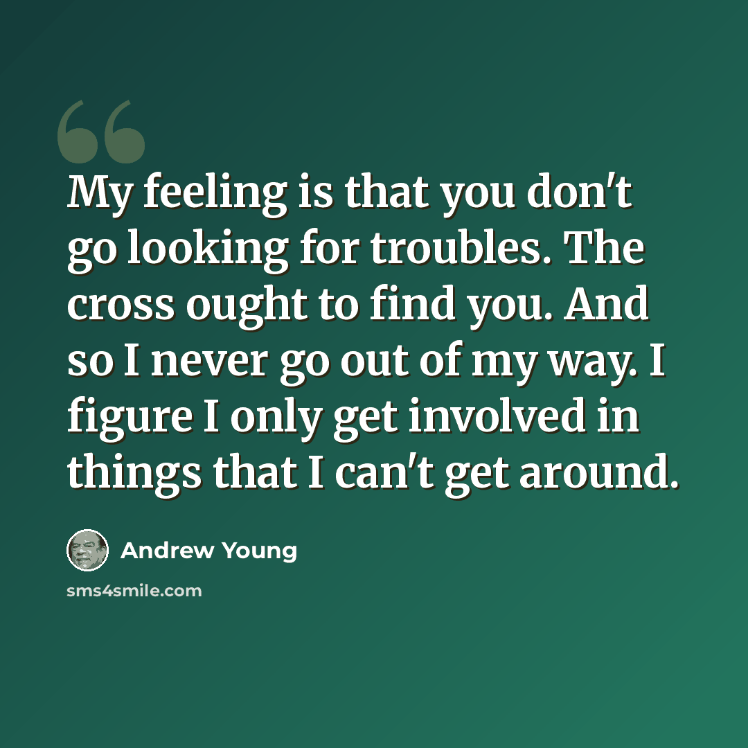 “My feeling is that you don't go looking for troubles. The cross ought to find you. And so I never go out of my way. I figure I only get involved in things that I can't get around.” quote by Andrew Young