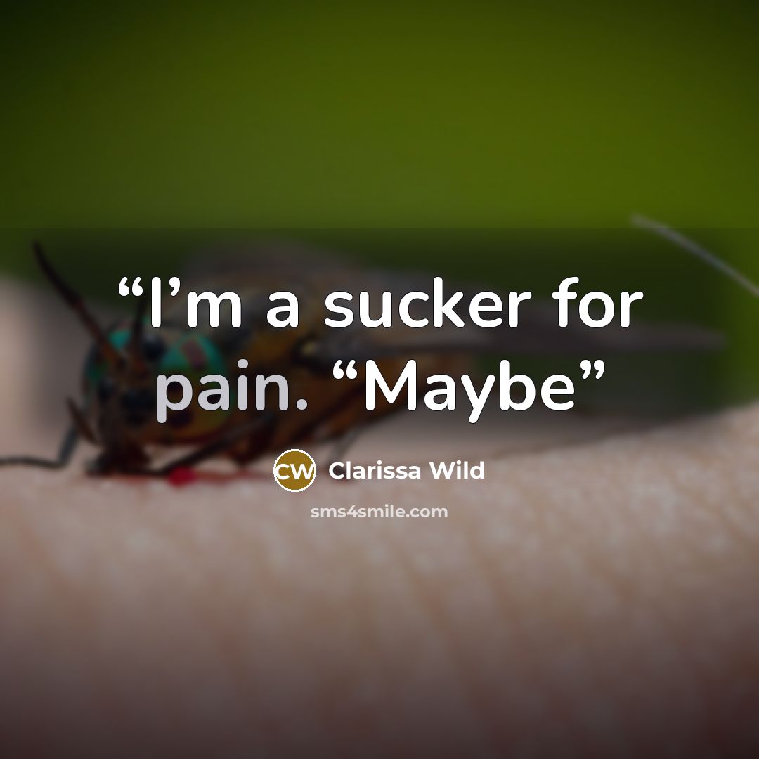 “I’m a sucker for pain. “Maybe” quote by Clarissa Wild